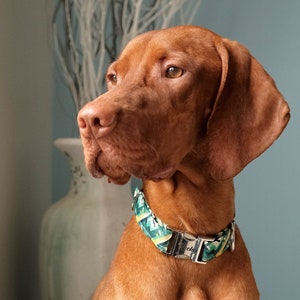 Personalized Dog Collar, Abstract Pattern,  Green and White Pet Collar, Emerald City, Quick Release Metal Buckle