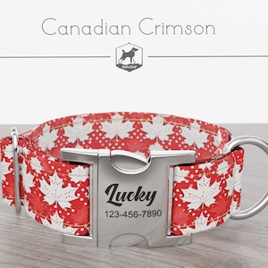 Personalized Wide Dog Collar 1, 1.5, 2 inch, Canada Day, Red and White Color, Canadian Crimson, Quick Release Metal Buckle