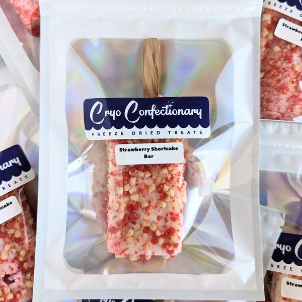 Freeze Dried Strawberry Shortcake ice cream Bar Good Humor Bar freeze dried ice cream bar