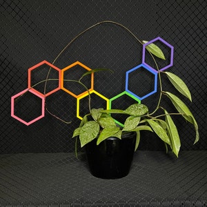 Aanpasbaar plantenlatwerk / 3D-geprint