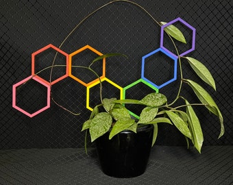 Customizable Plant Trellis / 3D Printed