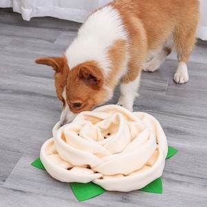 Food Dispenser Training Dog, Pet Puzzle Toys Carpet