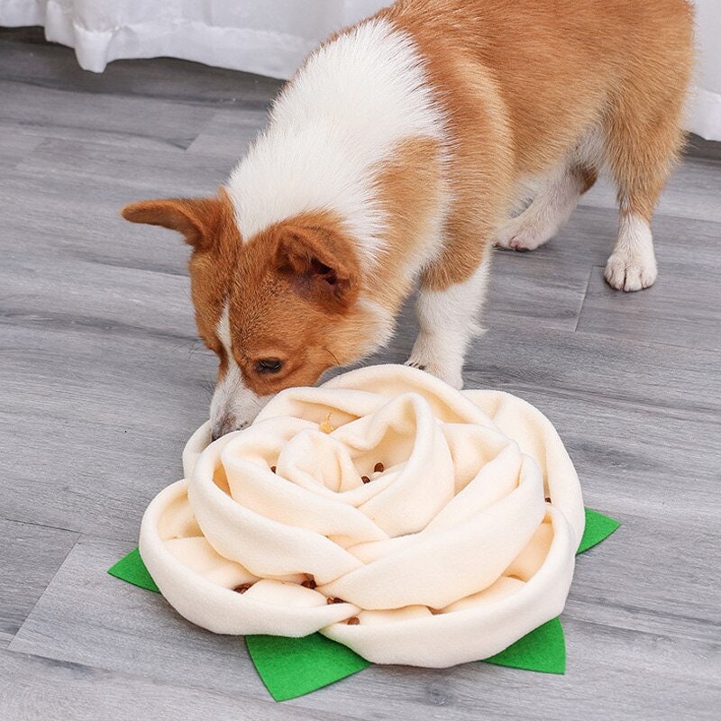 Puppy Snuffle Pad Pet Nose Smell Training mat Dog Slow Feed Mat Bowl Pet  Food Dispenser Carpet Dog Sniffing Pad Dog Digging Toy