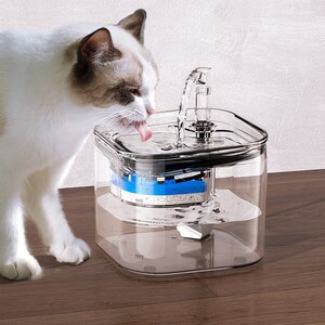 Automatic 2L Cat Water Fountain with Sensor, Filter, and Pet Feeder - Auto Drinking Dispenser for Cats and Dogs - Running Water Feeder Pets