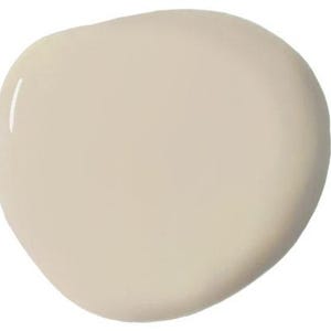 Annie Sloan Wall Paint 1 Gallon Canvas image 2