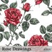Roses Seamless Pattern – Fabric and Print on Demand (digital Design) - Etsy