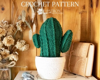 Schema Cactus all'uncinetto pdf - Cactus Cereus