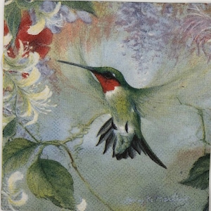 Tovaglioli di carta per cocktail per decoupage, creazione di biglietti, tecniche miste, colibrì