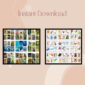Animal picture books to print
