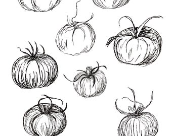 Tomateninkttekeningen: transparante png-afbeelding voor afdrukken (digitale download)