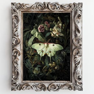 Luna Moth Print, Dark Botanical Prints, Dark Cottagecore Wall Art ...
