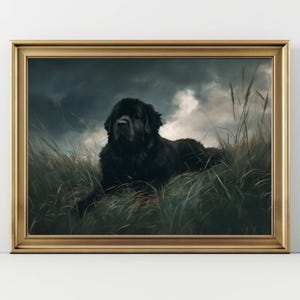 May include: A framed print featuring a black Newfoundland dog resting in tall grass under a dramatic, cloudy sky. The dog is the focal point, with a detailed depiction of its fur and expression. The frame is gold-colored.