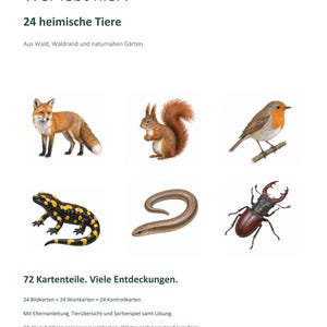May include: Educational card set titled Bizzbib Natur Entdecken Wer lebt hier? 24 heimische Tiere. Includes 72 cards featuring illustrations of a fox, squirrel, robin, salamander, slow worm, and stag beetle, plus instructions and sorting games.