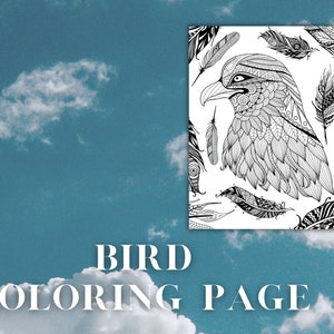 Bird and Feathers Coloring Page: Mandala Designs (PDF)