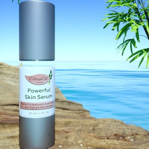 Pode incluir: Um frasco prateado de soro facial potente Cosmo Can Canada com o texto "Vitamin C & Hyaluronic Acid & Retinol Anti-Aging & Anti-Wrinkle 30 ml/1 fl. Oz" no r&oacute;tulo. O frasco est&aacute; sobre uma rocha marrom com um oceano azul e palmeiras verdes ao fundo.