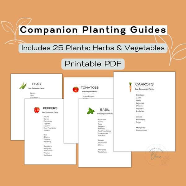 Gráfico de plantación complementario imprimible / Guía de referencia rápida de jardín PDF Plantación imprimible para verduras, hierbas, flores / Descarga digital