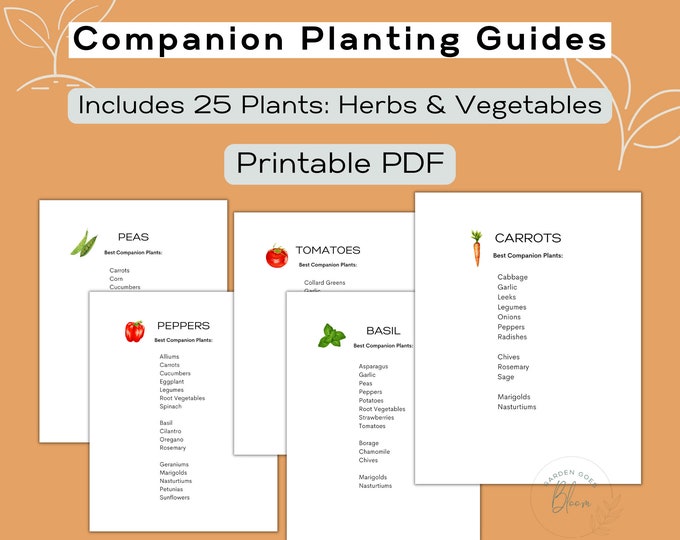 Printable Companion Planting Chart - Il 680x540.5865390392 N5am 