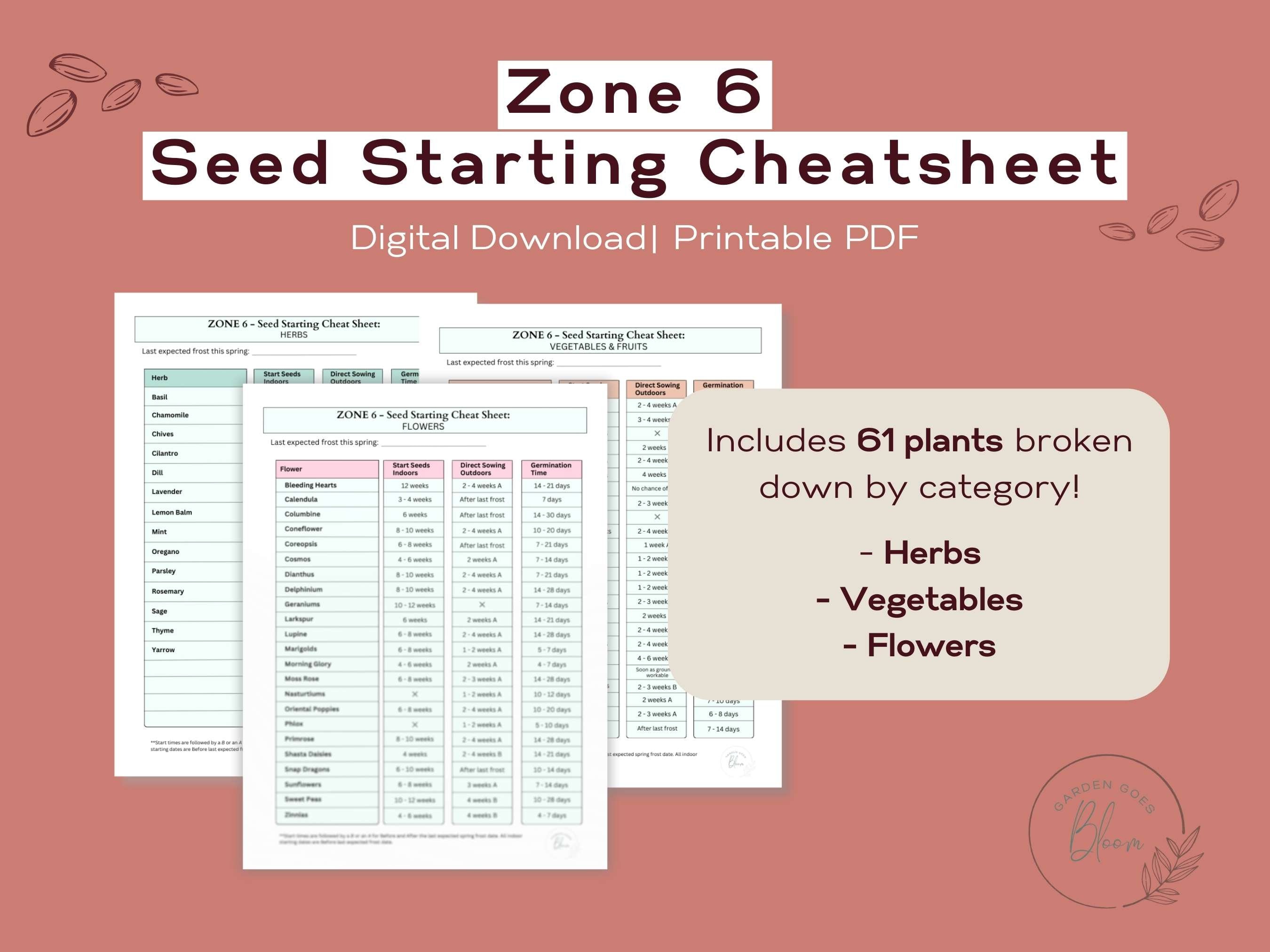 Zone 6 Seed Starting Cheat Sheet Planting Guide Printable Seed Starting zone-6-seed-starting-cheat-sheet-planting-guide-printable-seed-starting