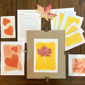 May include: A DIY Anthotype Sun Print Kit featuring leaf prints in orange and yellow hues. The kit includes instructions, a maple leaf, and several sheets of paper. The prints are clipped to a brown board with metal clips, set on a wooden surface.
