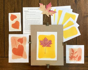 Op de afbeelding: Een doe-het-zelf anthotype zonnedrukset met lichtgevoelige vellen papier met gele en oranje bladafdrukken, een bruin achterbord met metalen clips, een gedrukt instructieblad en een gedroogd esdoornblad voor het maken van kunst.