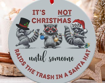 Adorno navideño de mapache, adorno de panda de la basura, adorno de 2025, mapache con gorro de Papá Noel, decoración navideña, regalo para amantes de los mapaches, animalito adorable.