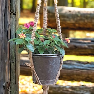 May include: A hanging plant holder made of natural rope, suspending a metal pot filled with green foliage and pink and yellow flowers. The holder is attached to a wooden post, with a blurred background of trees and a wooden fence.
