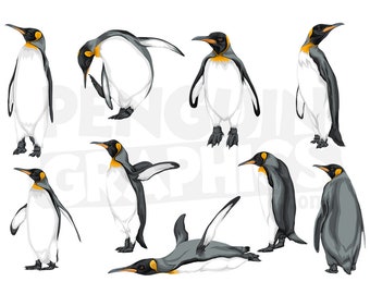 King Penguin Clipart Digital Downloads, 9 Penguin Illustrations Bundle (JPEG, PNG, Al Files)