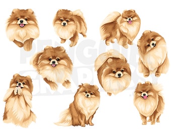 Cool Pomeranian Dogs Clipart Digital Downloads, 9 Dog Illustrations Bundle (JPEG, PNG, Al Files)