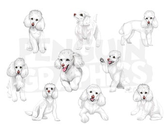 Poodle Dogs Clipart Digital Downloads, 9 Dog Illustrations Bundle (JPEG, PNG, Al Files)