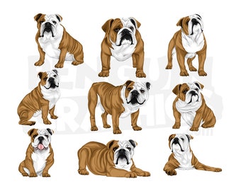 Bulldog Dogs Clipart Digital Downloads, 9 Dog Illustrations Bundle (JPEG, PNG, Al Files)