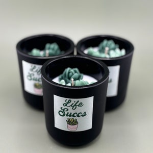 SUCCULENT CANDLE