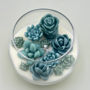 SUCCULENT BOWL CANDLE