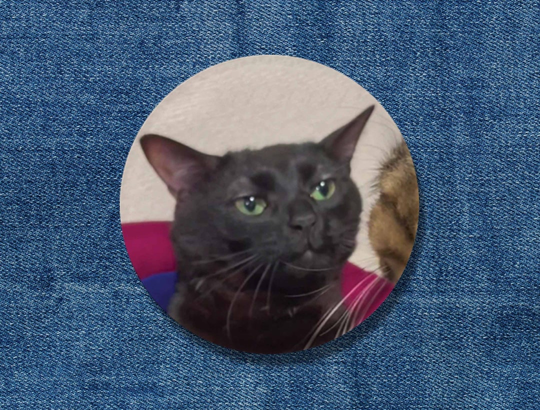 Zoned Out Cat Button, Zoned Out Cat Meme, Black Cat Meme, 1.25in