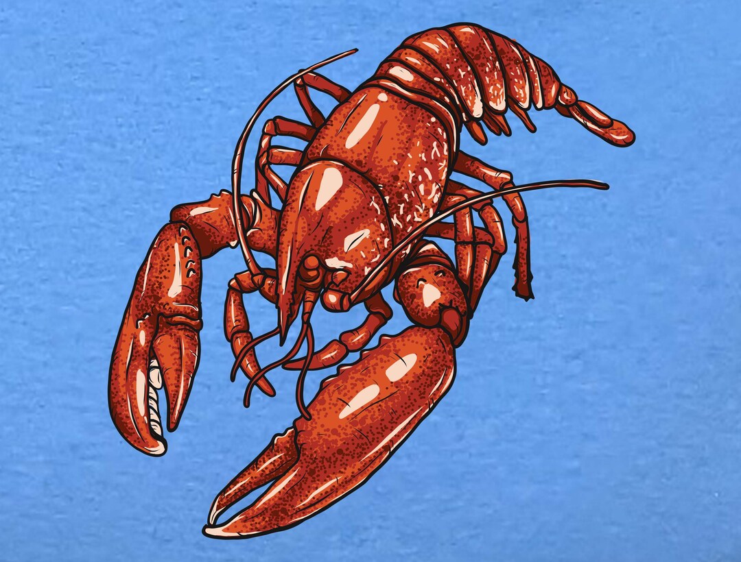 Lobster Shirt Lobster Tshirt Lobster Tshirt Etsy