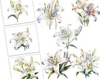 Watercolor Lily Flower Clipart Bundle for Commercial Use, Instant Download,Floral, Design Elements, Instant Download, Invitation, Graphics