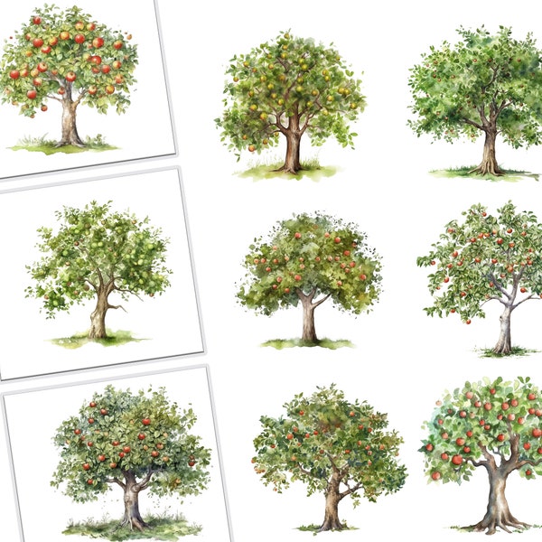 Watercolor Apple Tree Clipart Bundle,Commercial Use, apple Tree, Graphics, fall clipart,autumn graphics, harvest illustration,orchard design