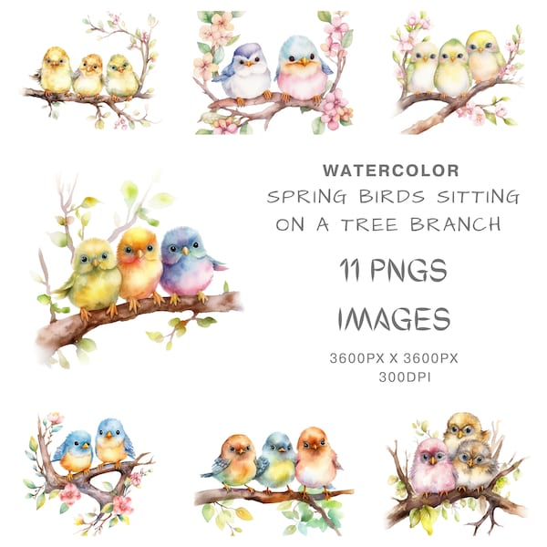 Watercolor Cute Spring Birds Sitting on Tree Branch Clipart Bundle,Commercial Use, Nursery Decor,Spring Birds, Cute, Sitting, Tree Branch