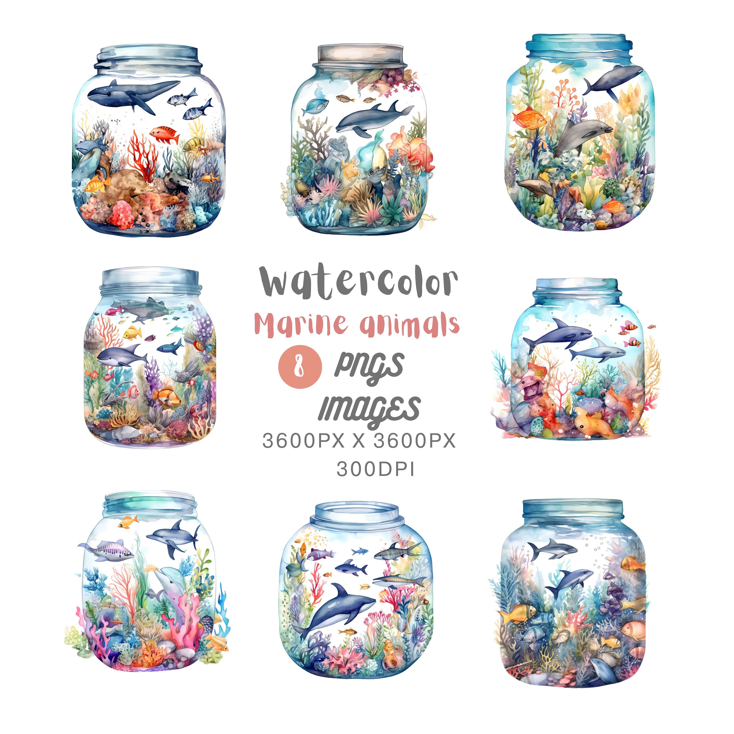 Watercolor Marine Animals in a Jar Clipart Etsy