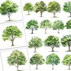 Tree Watercolor Clipart Bundle, Rustic Forest Graphics for Commercial Use, DIY Projects, Nature Illustration, PNG Files