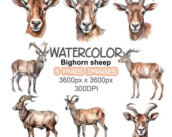 Watercolor Cliparts Bundle: Commercial Use Watercolor Bighorn Sheep Cliparts,Bighorn Sheep, Watercolor Bighorn Sheep,Printable,Scrapbooking