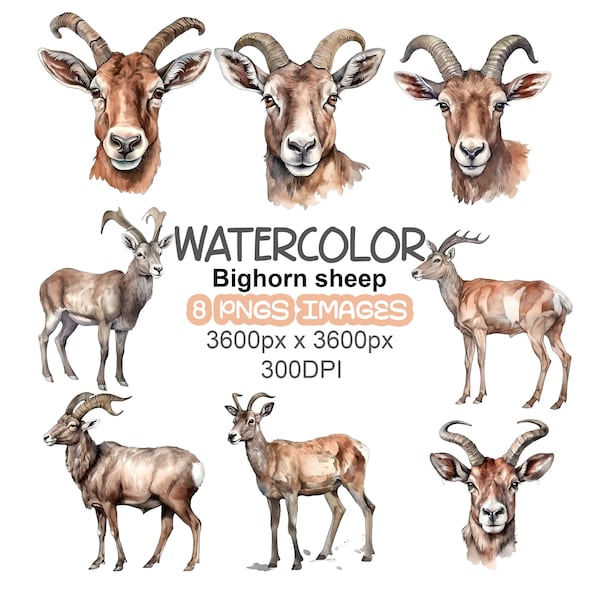 Watercolor Cliparts Bundle: Commercial Use Watercolor Bighorn Sheep Cliparts,Bighorn Sheep, Watercolor Bighorn Sheep,Printable,Scrapbooking