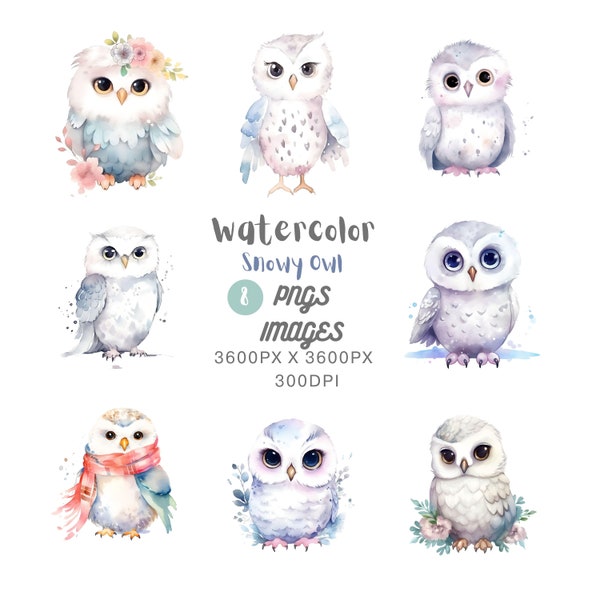 Cute Owl Clipart - Etsy