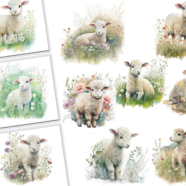 Watercolor sheep Clipart Bundle,Sheep Png, Watercolor Sheep, Sheep clipart, Sheep PNG, Sheep art, Sheep,animal