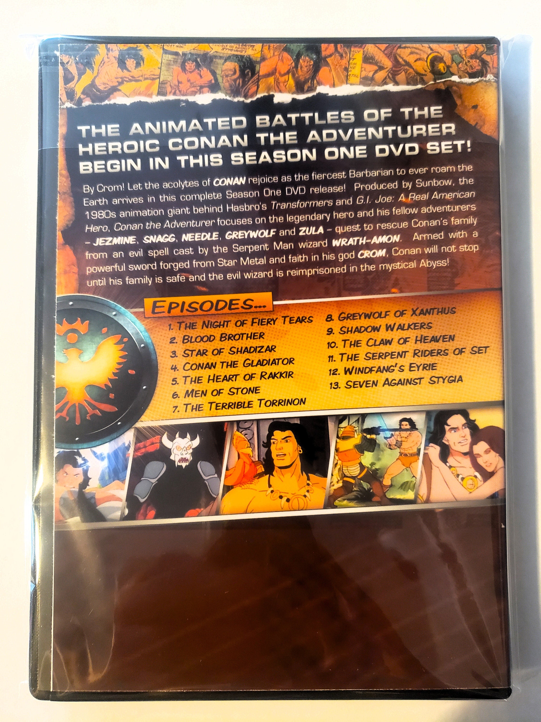 Conan the Adventurer Season One Animated Series DVD Set - Etsy