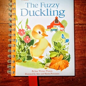 Diario de libros infantiles reciclados