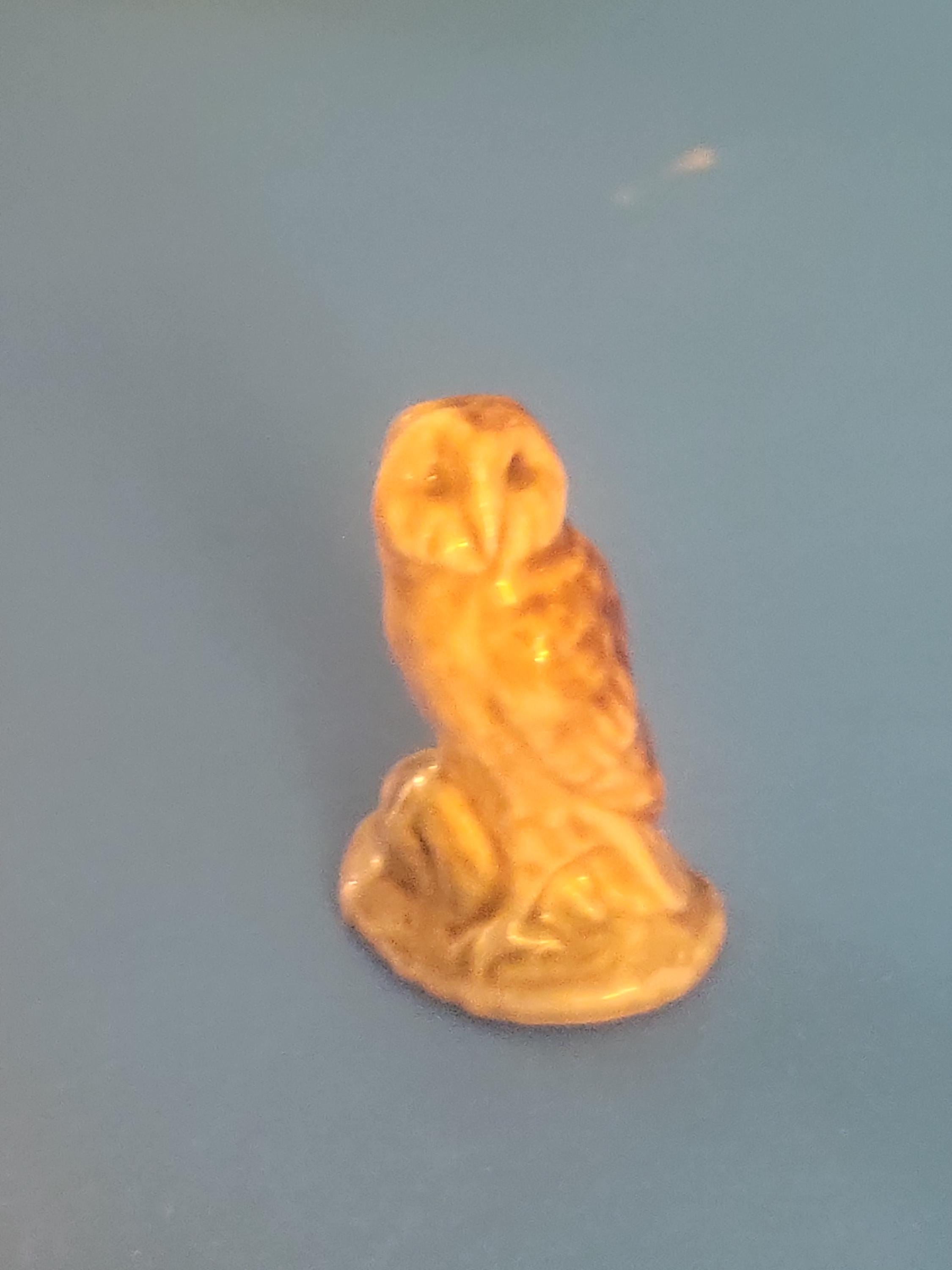 Wade owl