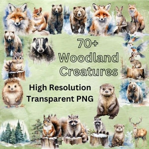Bundle 70+ Woodland Animals Transparent PNG Files, Instant Download, Digital Files, Otter, Deer, Moose