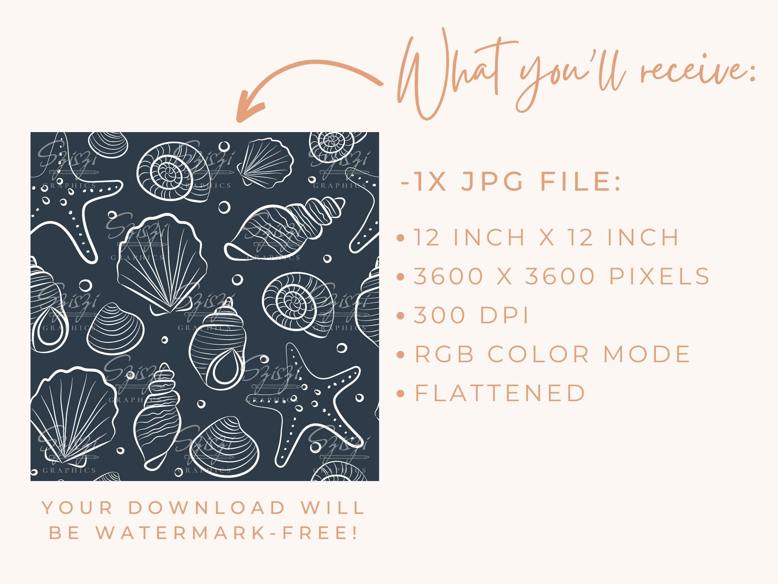Sea Shells Seamless Pattern Beach Seamless File Mermaid Pattern Summer ...