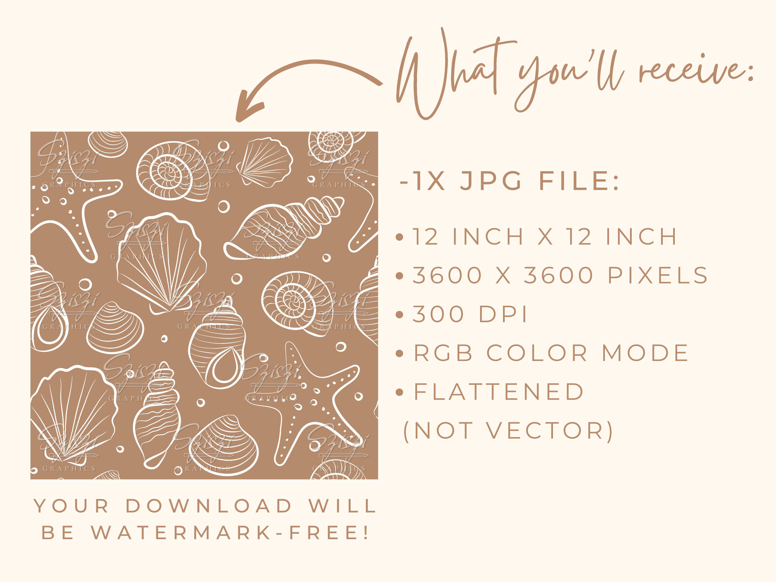 Sea Shell Seamless Pattern Boho Beach Neutral Summer Seamless Seashells ...