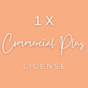 1x Commercial Plus License